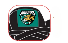 Souliers éditon Jaguars RS!